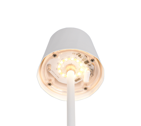 Lámpara de sobremesa Trio Diaz LED blanco mate táctil CCT IP44 R55961131