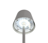 Lámpara de sobremesa Trio Diaz LED ultimate grey táctil CCT IP44 R55961177