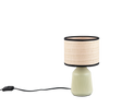 Lámpara de sobremesa Trio Formentera LED green 2700K R56801915