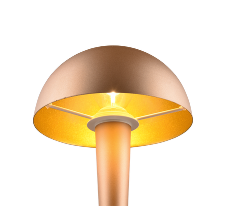 Lámpara de sobremesa Trio Canaria LED marrón café táctil 3000K R59561165