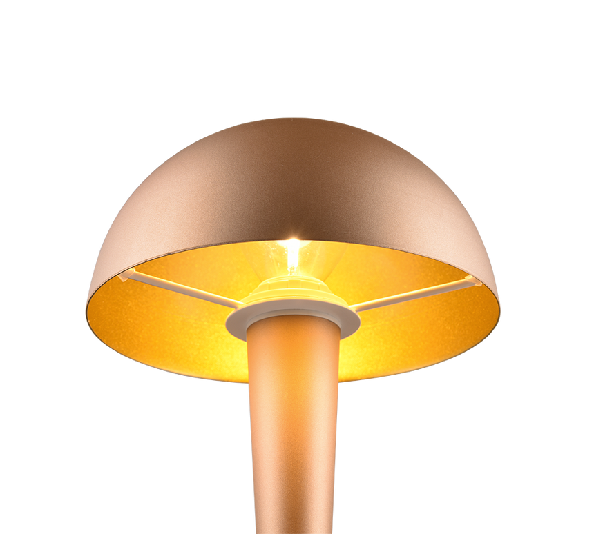 Lámpara de sobremesa Trio Canaria LED marrón café táctil 3000K R59561165