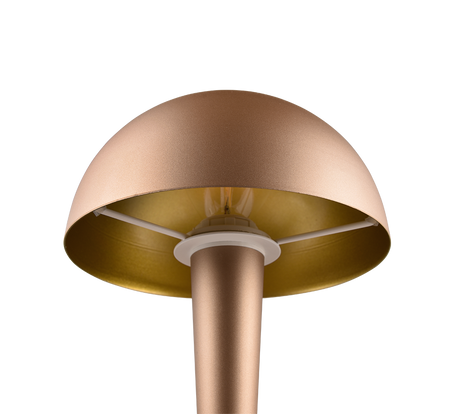 Lámpara de sobremesa Trio Canaria LED marrón café táctil 3000K R59561165