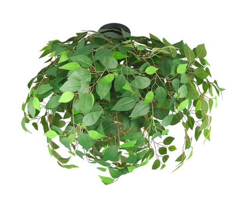 Plafón de techo Trio Leavy 3 luces negro mate y verde Ø70cm R60463015 - vista 2