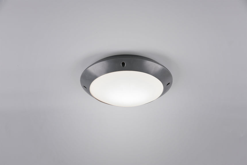 Plafón de techo exterior Trio Camaro LED antracita 3000K IP54 Ø26cm R60501042