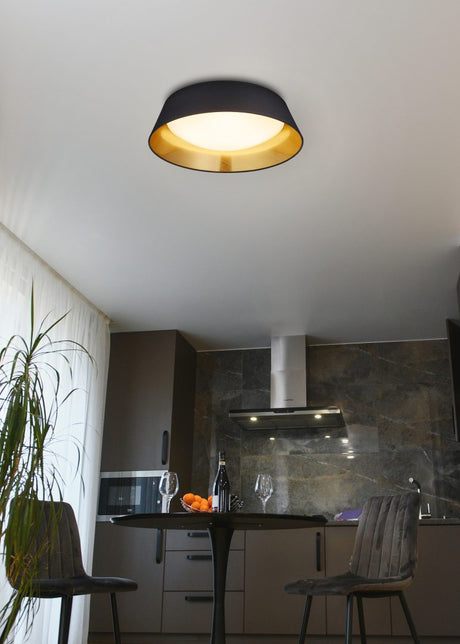 Plafón de techo Trio Ponts LED negro 3000K Ø45cm R62871879