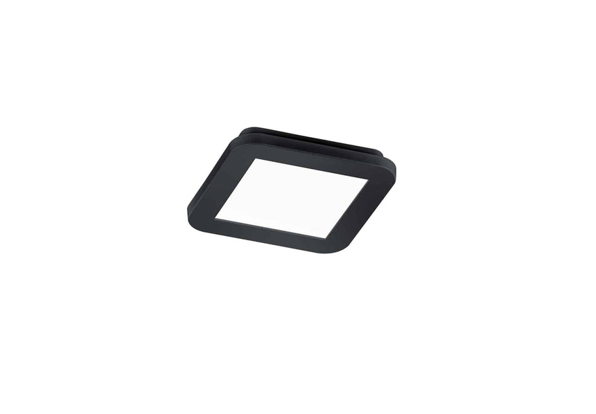 Trio Camillus Plafón LED de plástico estera negra R62931032