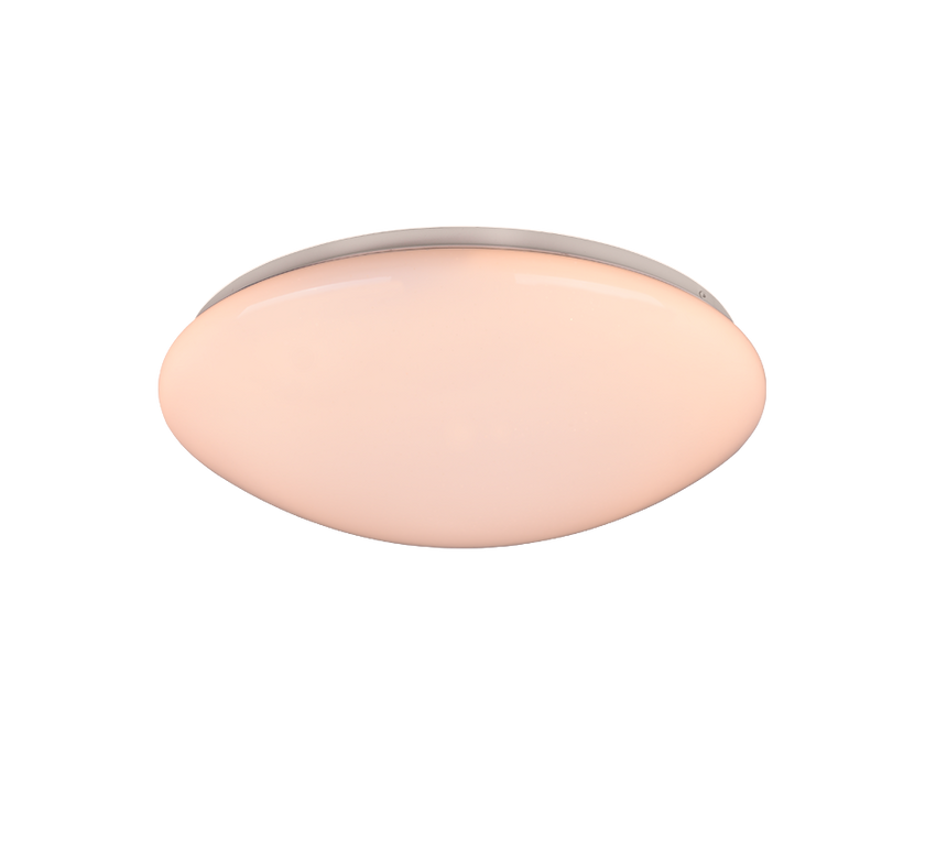 R62961001