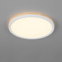 Plafón de techo Trio Joko LED blanco CCT Ø29cm R63011101