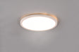 Plafón de techo Trio Aureo LED blanco mate CCT Ø29cm R64371131