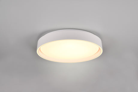 Plafón de techo Trio Felis LED blanco mate CCT Ø40cm R64391031
