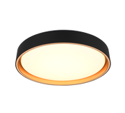Plafón de techo Trio Felis LED negro y dorado CCT regulable con mando Ø40cm R64391080