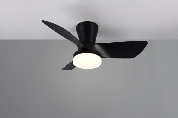 Ventilateurs de plafond noirs