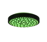 Plafón de techo Trio Chizu LED negro mate CCT Ø40,5cm R67161132