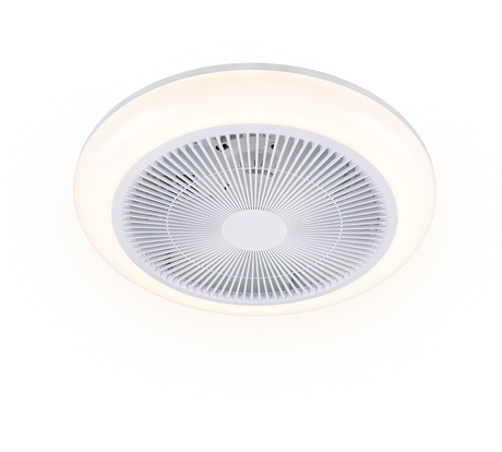 Plafón de techo Trio Holmsund LED blanco CCT R69282101