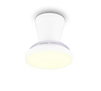 Plafón de techo Trio Moss LED blanco CCT Ø41cm R69512101