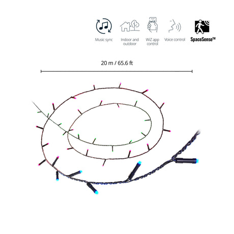 WiZ Guirnalda Negro 15W 120lm 8720169076969 - vista alternativa | Philips