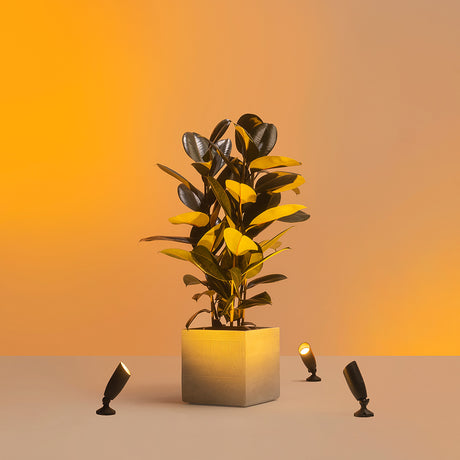 WiZ Foco 5W 300lm (2 uds) 07165000 - imagen 5 | Philips