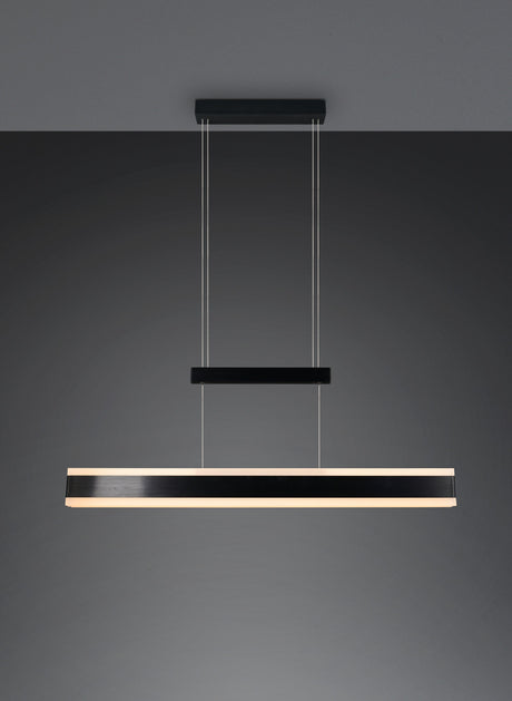 lámpara colgante Trio Arcola negro mate TRI331210332 - vista 10