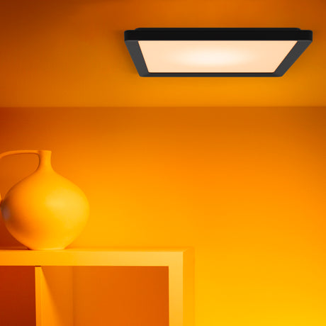 WiZ White and Color Ambiance Plafón Negro RGBW 12W 1600lm 0169077942 - imagen 6 | Philips