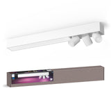 Philips Hue White and Color Ambiance Foco Centris blanco RGBW 36W 3700lm 8720169318496