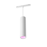 Philips Hue White and Color Ambiance Lámpara colgante Perifo blanco RGBW 5W 510lm 40750300