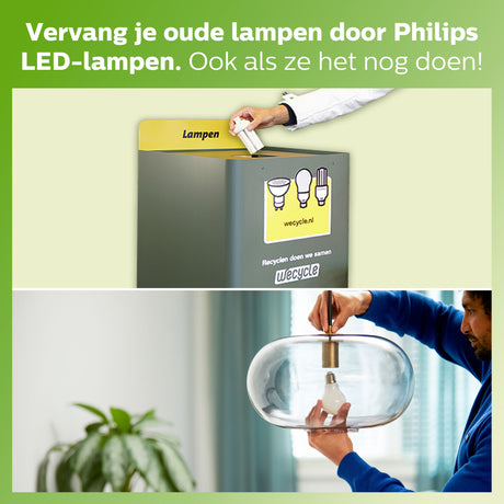 Bombilla de filamento Philips Classic mate A60 60W E27 4000K 840lm 777100 - imagen 5