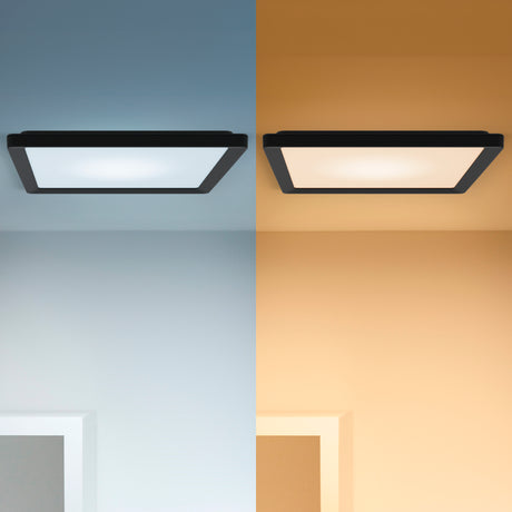 WiZ White and Color Ambiance Plafón Negro RGBW 17W 1600lm 0169077980 - imagen 3 | Philips