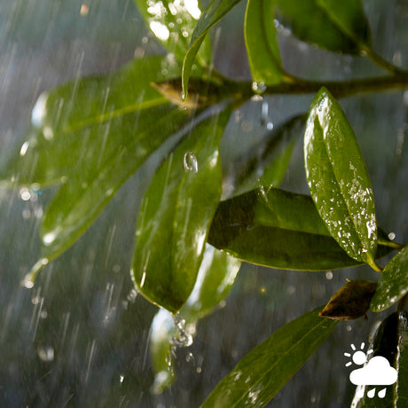 Philips Hue Aplique de pared inara negro White Ambiance 7W IP44 871951438851200 550lm - imagen 4