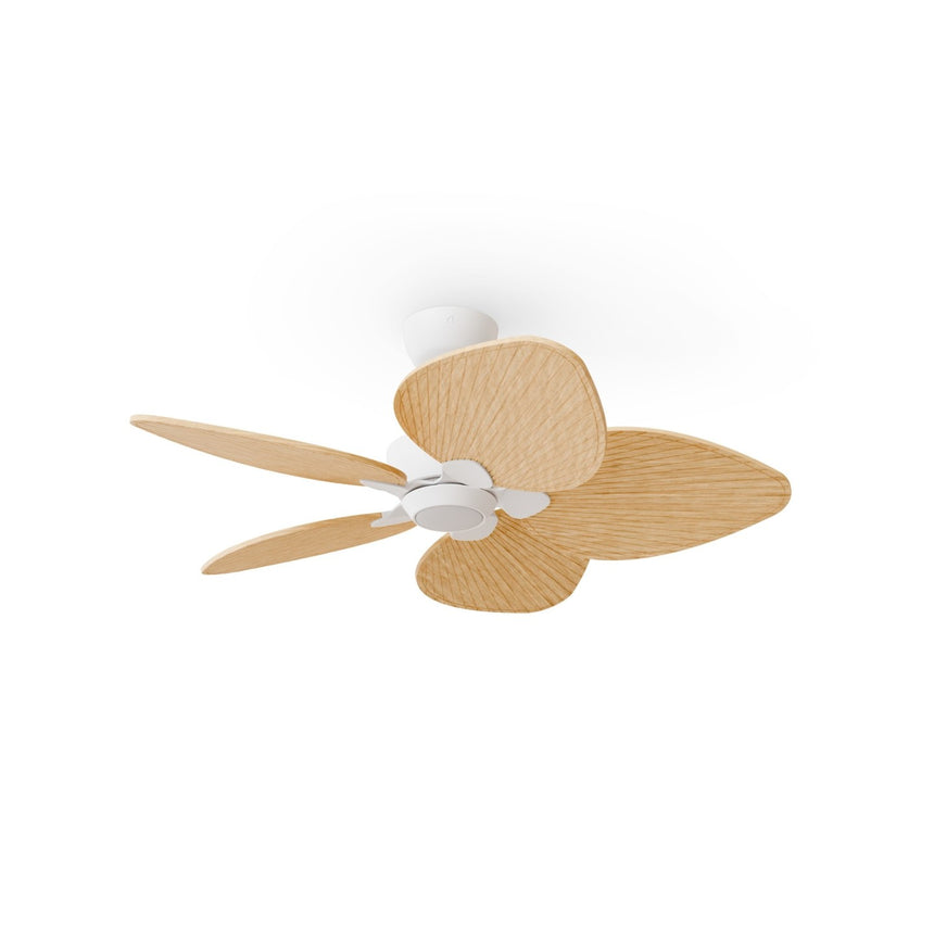 Ventilador de techo con luz Sulion Alma 100cm LED blanco y madera clara motor DC CCT — vista 3