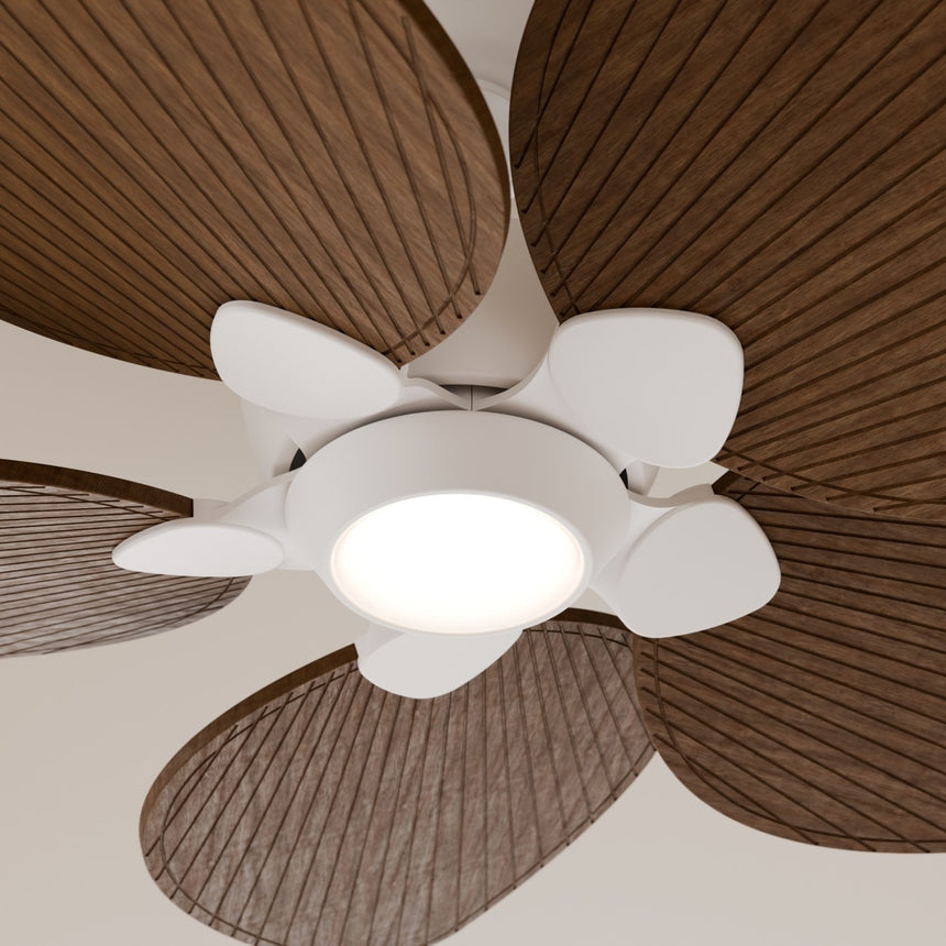 Ventilador de techo con luz Sulion Alma 100cm LED blanco y madera oscura motor DC CCT — vista 3