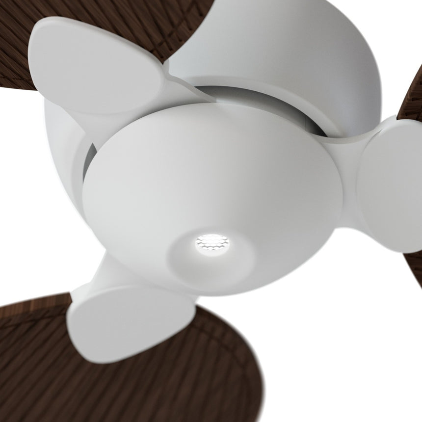 Ventilador de techo con luz Sulion Alma 100cm LED blanco y madera oscura motor DC CCT — vista 3