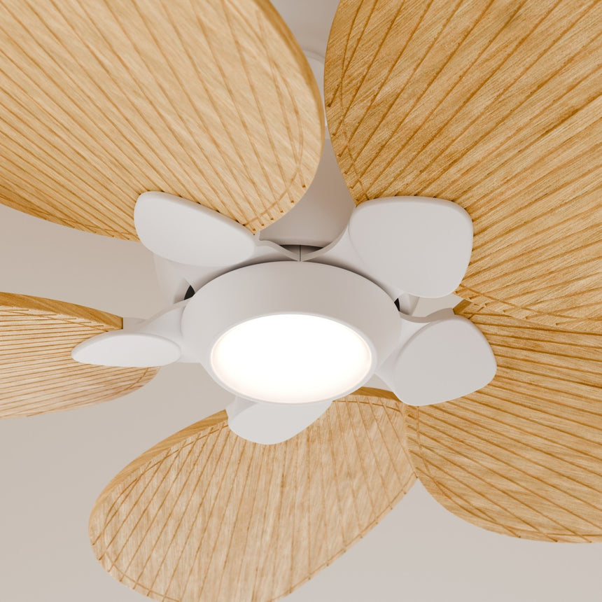 Ventilador de techo con luz Sulion Alma 132cm LED blanco y madera clara motor DC CCT — vista 3