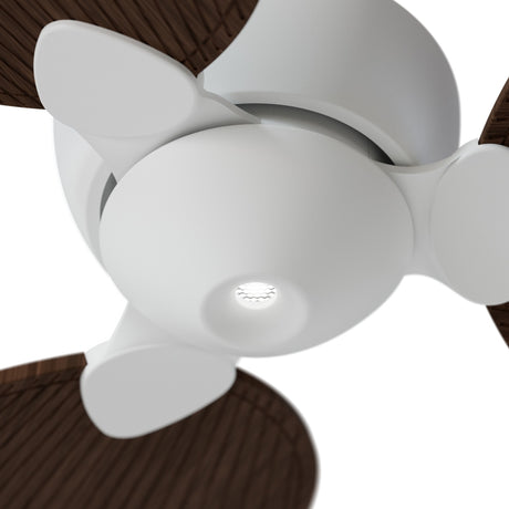Ventilador de techo Sulion Alma blanco, brillo, palas madera oscura 2247472