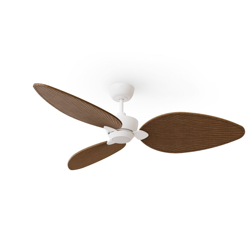 Ventilador de techo con luz Sulion Alma 132cm LED blanco y madera oscura motor DC CCT — vista 4