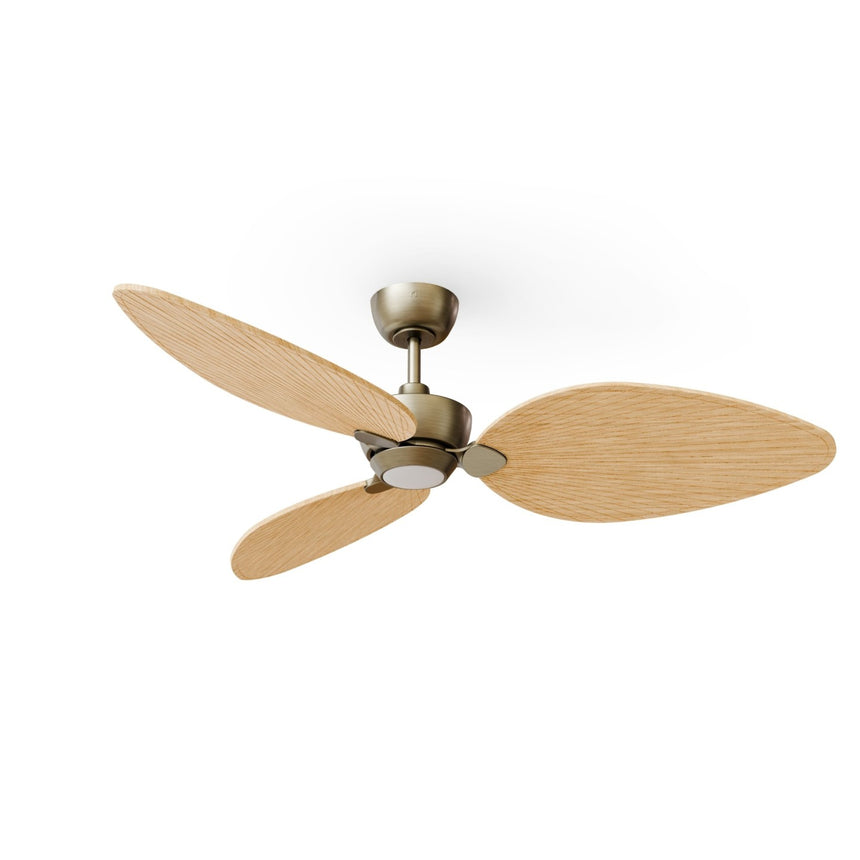 Ventilador de techo con luz Sulion Alma 132cm LED latón y madera clara motor DC CCT — vista 4