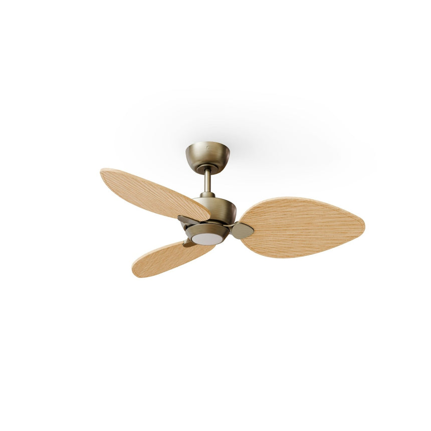 Ventilador de techo con luz Sulion Alma 100cm LED latón y madera clara motor DC CCT — vista 4