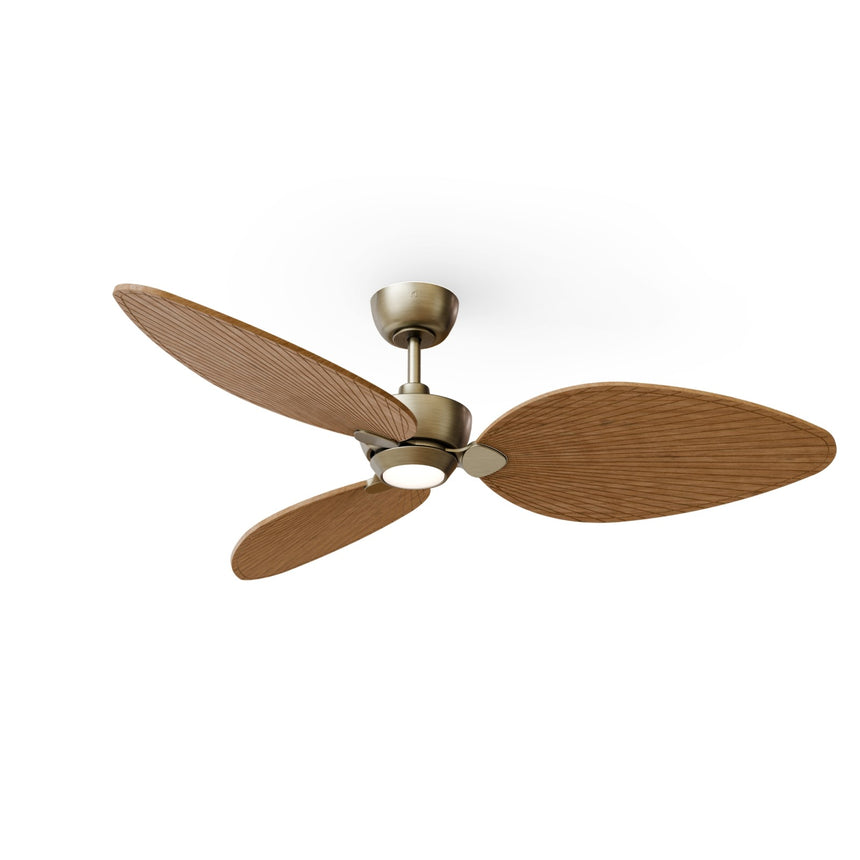 Ventilador de techo Sulion Alma latón, brillo, palas madera media 2246390