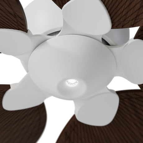 Ventilador de techo con luz Sulion Alma 132cm LED blanco y madera oscura motor DC CCT — vista 3