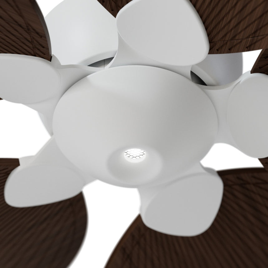 Ventilador de techo con luz Sulion Alma 132cm LED blanco y madera oscura motor DC CCT — vista 3