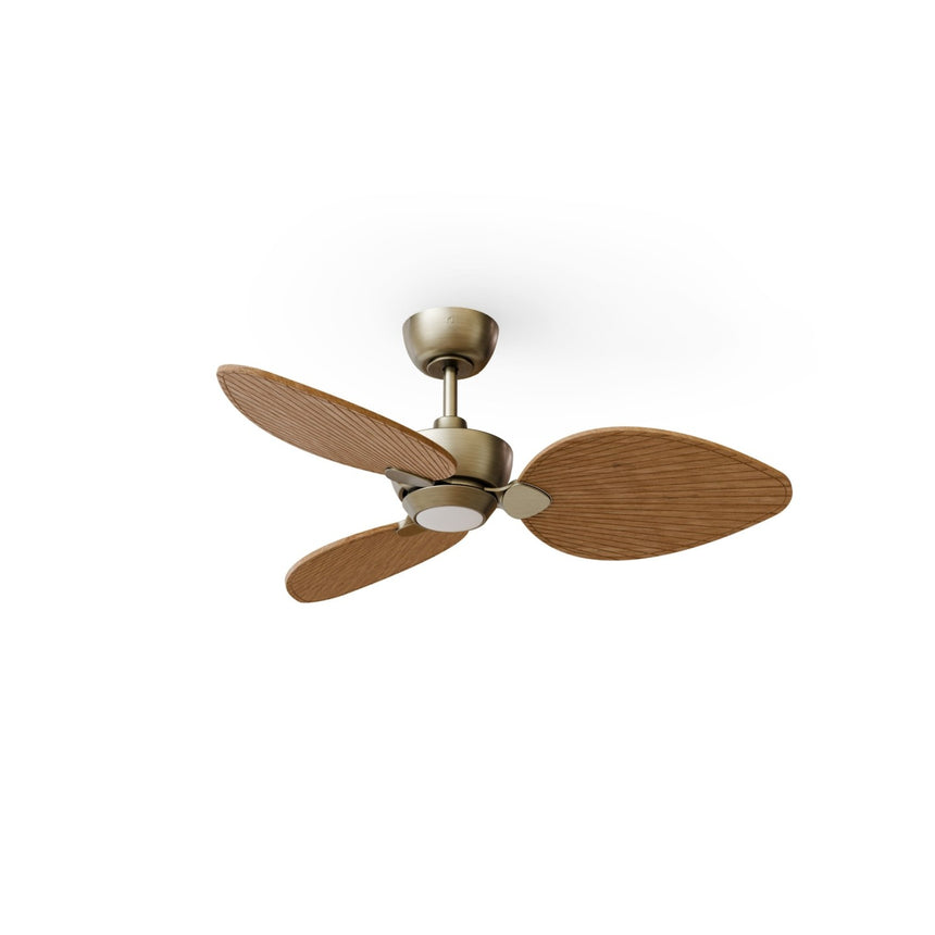 Ventilador de techo con luz Sulion Alma 100cm LED latón y madera media motor DC CCT — vista 4