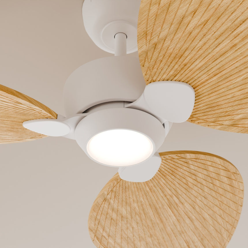 Ventilador de techo con luz Sulion Alma 132cm LED blanco y madera clara motor DC CCT — vista 3