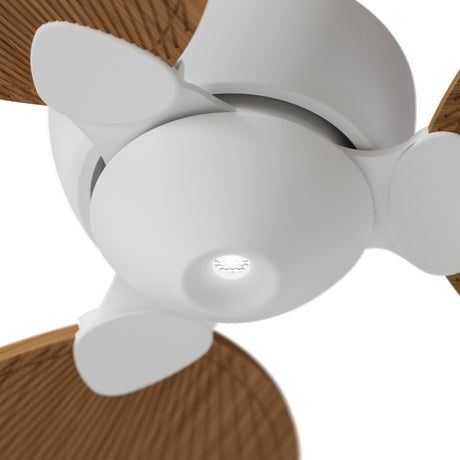 Ventilador de techo Sulion Alma blanco, brillo, palas madera media 2306537