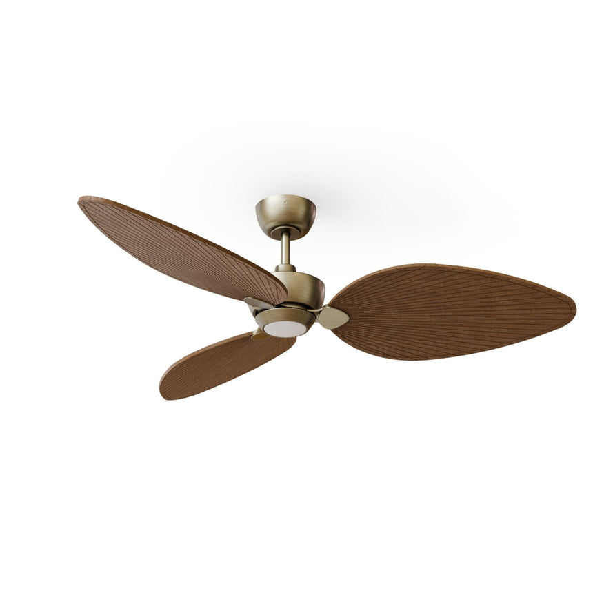 Ventilador de techo con luz Sulion Alma 132cm LED latón y madera oscura motor DC CCT — vista 4