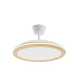 Ventilador de techo con luz Sulion Bombay Estilo 107cm LED madera y lechoso motor DC 22395 — vista 6