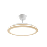 Ventilador de techo con luz Sulion Bombay Estilo 107cm LED madera y lechoso motor DC 22395 — vista 3