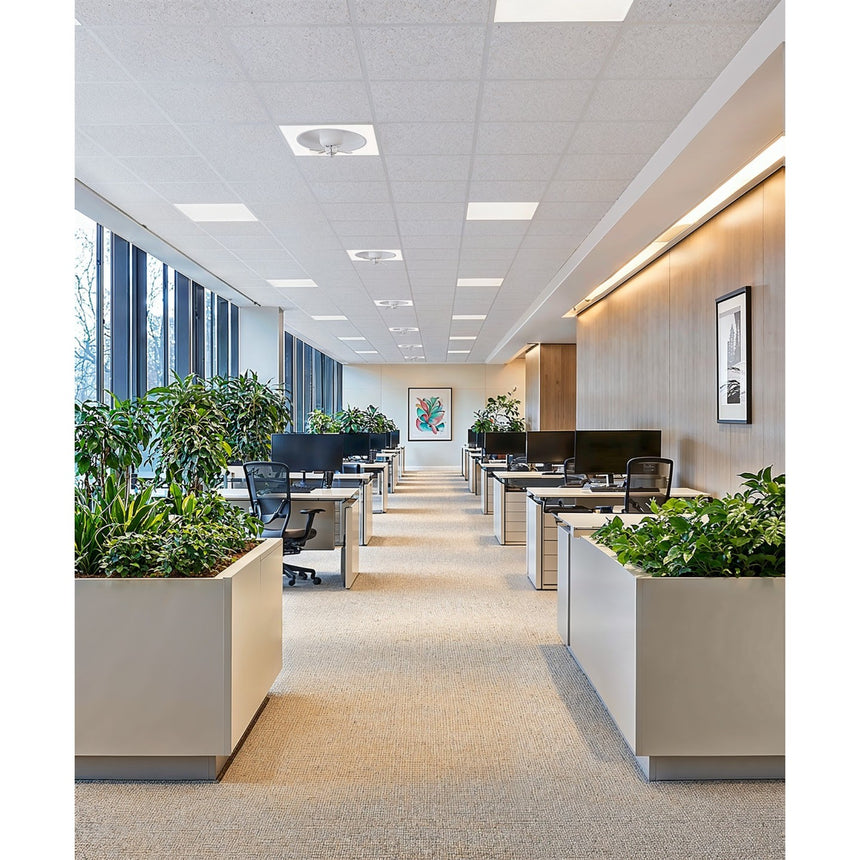 Ventilador de techo con luz Sulion Cubis 60cm LED blanco y transparente motor DC CCT — vista 2