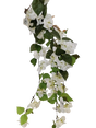 Zaraplant COLGANTE BOUGANVILLA BLANCO /ZAR6400-11
