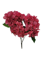 Zaraplant RAMO HYDRANGEA  BURDEOS /ZAR3300-17