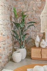 Planta artificial ITEM ave de paraíso JA-210903 de 200 cm en ambiente con cubremacetas decorativo