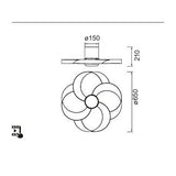 Medidas y dimensiones Rose 8706 (mm)
